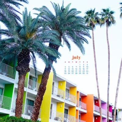 saguaro palm springs and palm trees - rainbow hotel