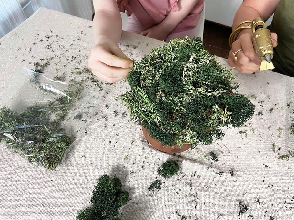 hot glue moss to a terra cotta pot saucer to make a treetop