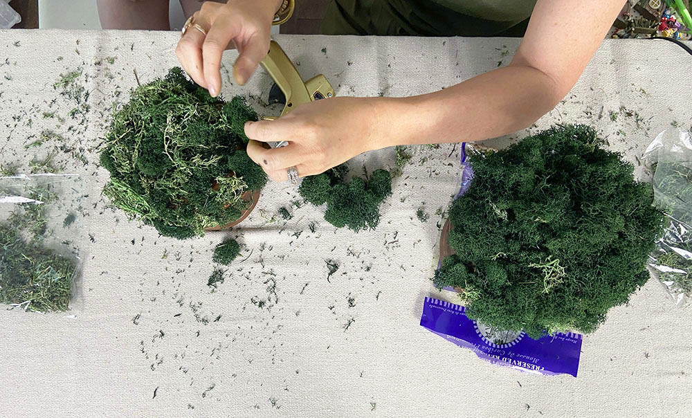 hot glue moss to a terra cotta pot saucer to make a treetop