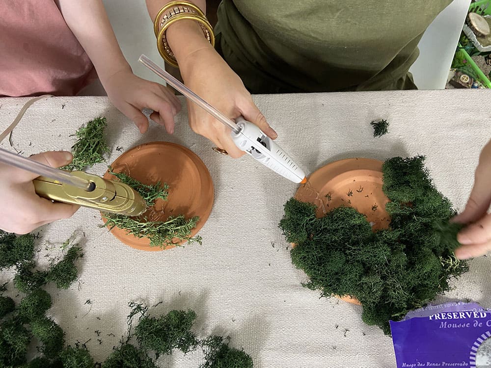 hot glue moss to a terra cotta pot saucer to make a treetop