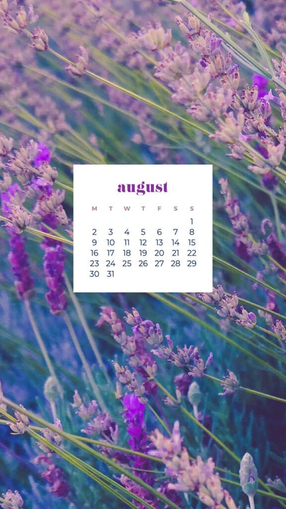 AUGUST 2021 CALENDAR WALLPAPERS – 33 FREE &#038; FUN DESIGNS TO DRESS YOUR TECH!, Oh So Lovely Blog