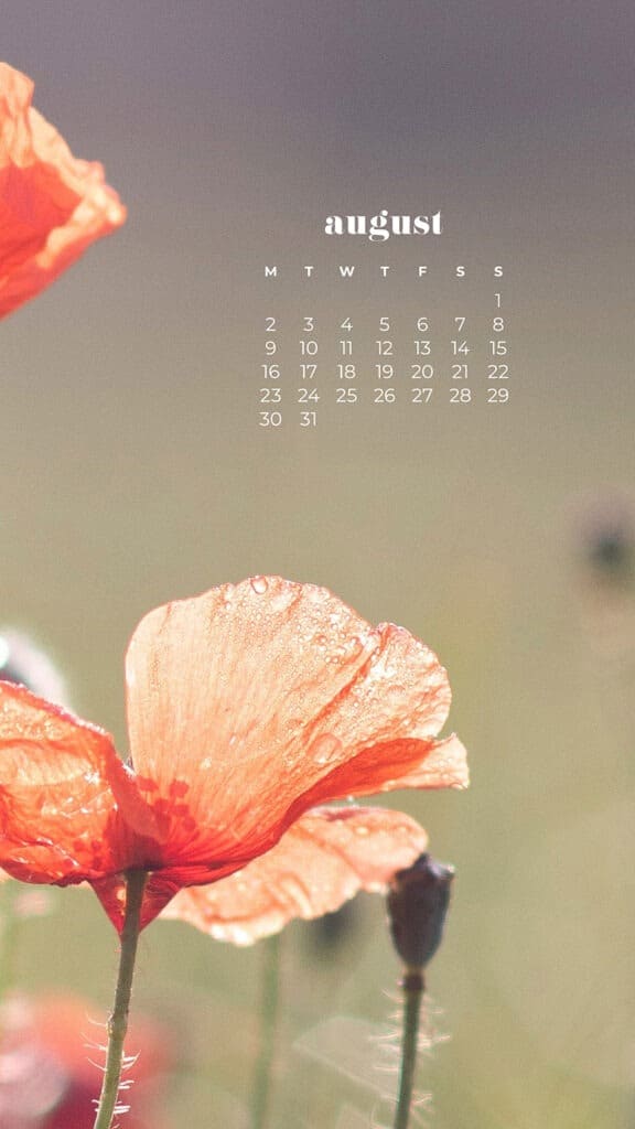 AUGUST 2021 CALENDAR WALLPAPERS – 33 FREE &#038; FUN DESIGNS TO DRESS YOUR TECH!, Oh So Lovely Blog