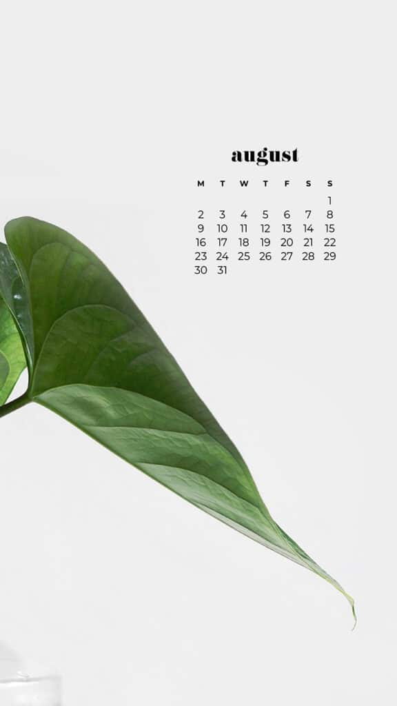 AUGUST 2021 CALENDAR WALLPAPERS – 33 FREE &#038; FUN DESIGNS TO DRESS YOUR TECH!, Oh So Lovely Blog