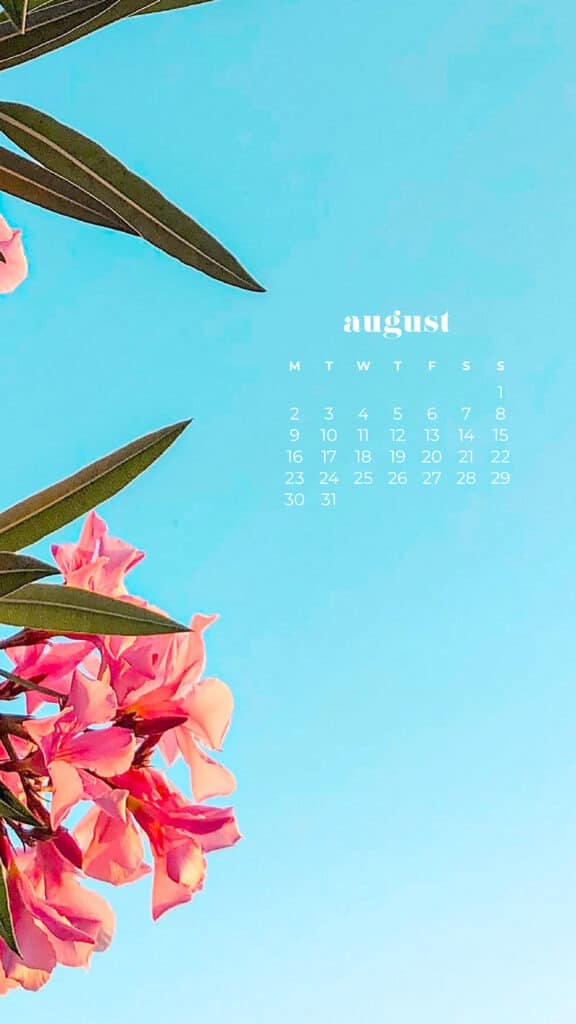 AUGUST 2021 CALENDAR WALLPAPERS – 33 FREE &#038; FUN DESIGNS TO DRESS YOUR TECH!, Oh So Lovely Blog