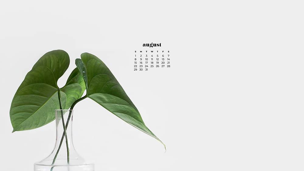 August 2021 - FREE wallpaper calendars in Sunday and Monday starts + no-calendar options. 33 designs for both desktop and smart phones!