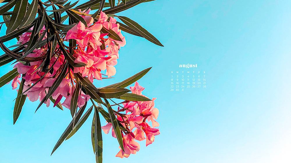 August 2021 - FREE wallpaper calendars in Sunday and Monday starts + no-calendar options. 33 designs for both desktop and smart phones!