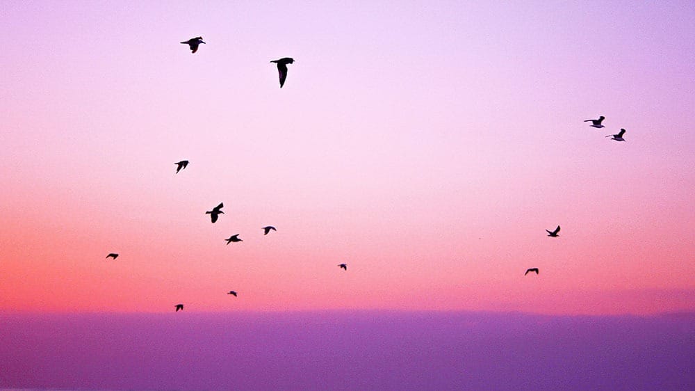 35 FREE SEPTEMBER 2021 DESKTOP AND PHONE WALLPAPERS!, Oh So Lovely Blog
