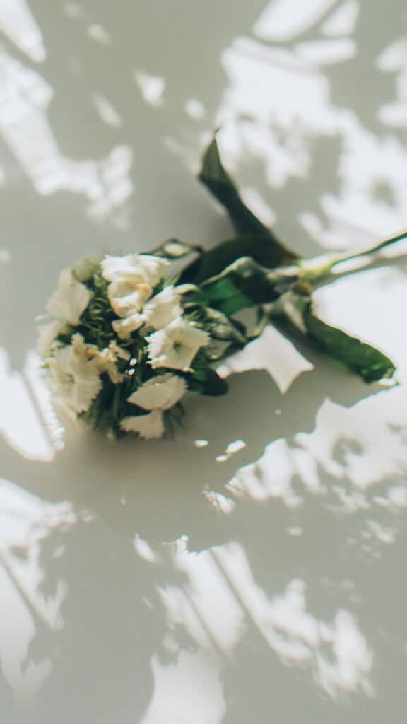 35 FREE SEPTEMBER 2021 DESKTOP AND PHONE WALLPAPERS!, Oh So Lovely Blog
