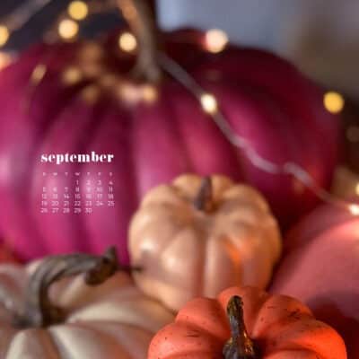 colorful stacked pumpkins on a table with fairy lights bokeh - pink, orange, coral, cream