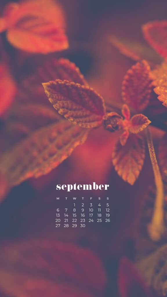 35 FREE SEPTEMBER 2021 DESKTOP AND PHONE WALLPAPERS!, Oh So Lovely Blog