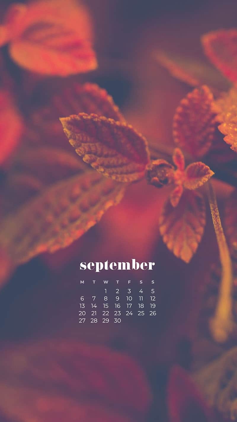September 2021 wallpapers – 35 FREE calendars for desktop and phones!