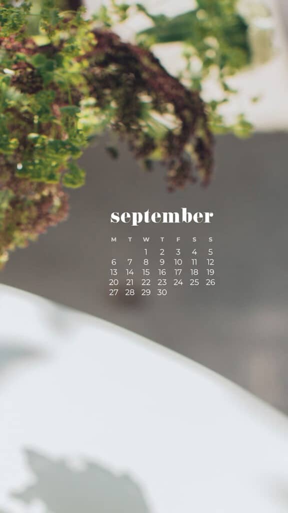 35 FREE SEPTEMBER 2021 DESKTOP AND PHONE WALLPAPERS!, Oh So Lovely Blog