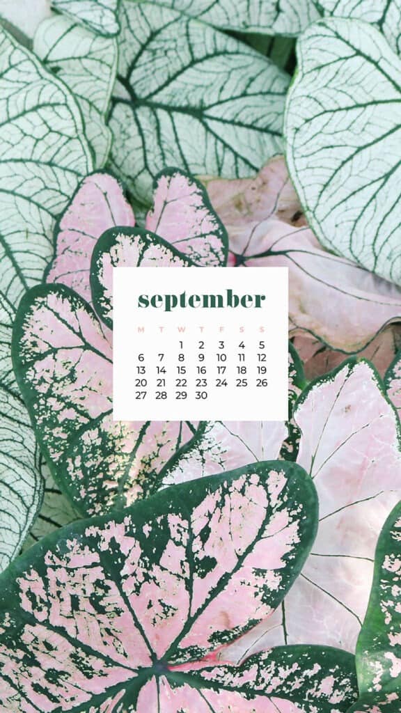 35 FREE SEPTEMBER 2021 DESKTOP AND PHONE WALLPAPERS!, Oh So Lovely Blog