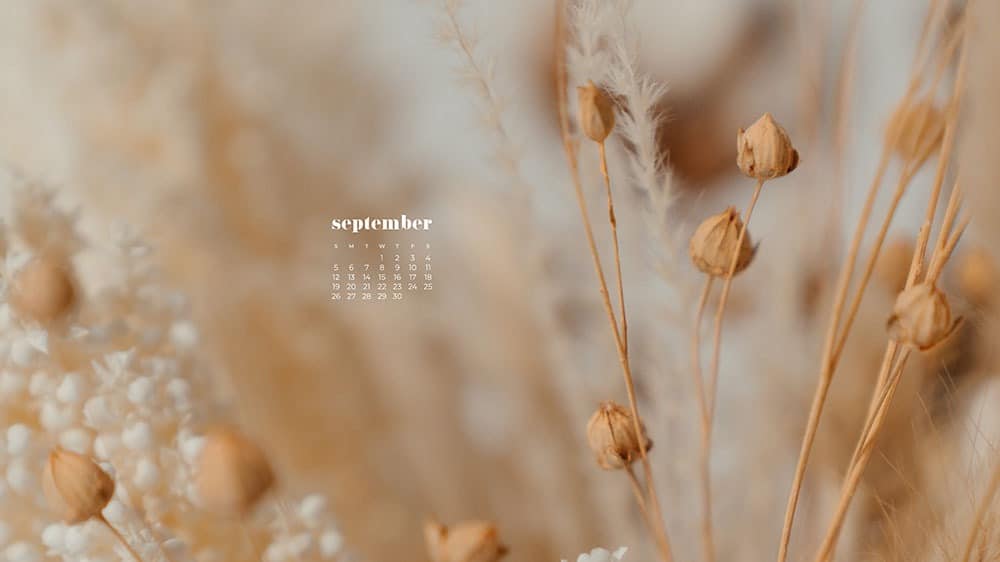 Creamy colored fall foilage FREE wallpaper calendars in Sunday and Monday starts + no-calendar options. 35 designs for both desktop and smart phones!