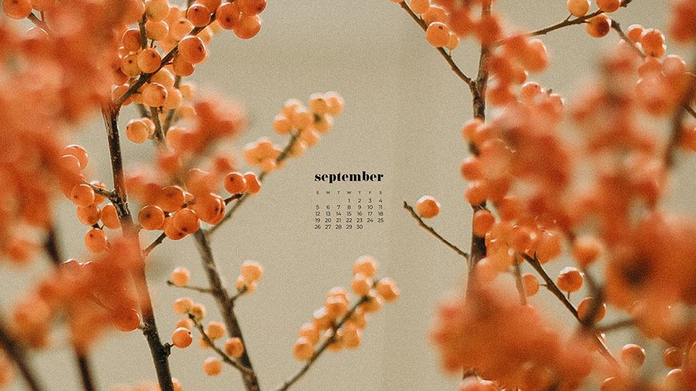 September 2021 wallpapers  35 FREE calendars for desktop and phones