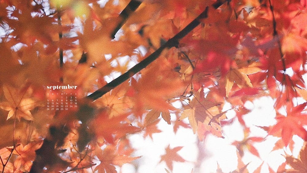 10 Cute Autumn Wallpapers Aesthetic 2021