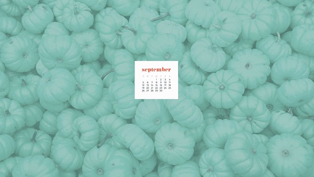 numerous turquoise mini pumpkins FREE wallpaper calendars in Sunday and Monday starts + no-calendar options. 35 designs for both desktop and smart phones!