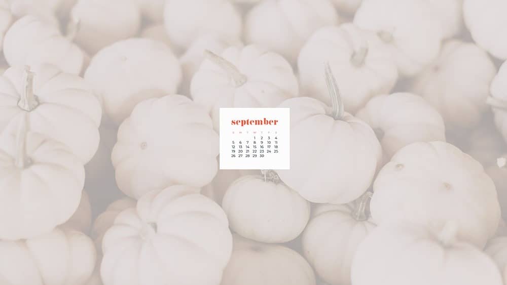 lots of small white pumpkins September 2021 - FREE wallpaper calendars in Sunday and Monday starts + no-calendar options. 35 designs for both desktop and smart phones!