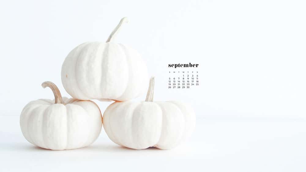 three mini stacked white pumpkins FREE wallpaper calendars in Sunday and Monday starts + no-calendar options. 35 designs for both desktop and smart phones!