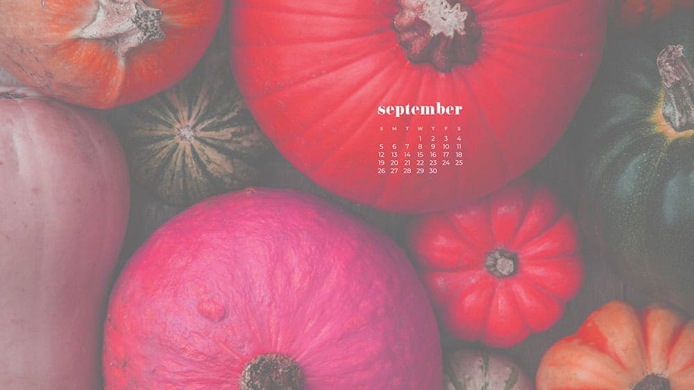 arial view of pink and green pumpkins September 2021 - FREE wallpaper calendars in Sunday and Monday starts + no-calendar options. 35 designs for both desktop and smart phones!