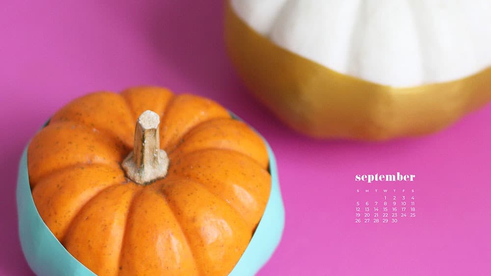 2 small paint dipped pumpkins on a hot pink background FREE wallpaper calendars in Sunday and Monday starts + no-calendar options. 35 designs for both desktop and smart phones!