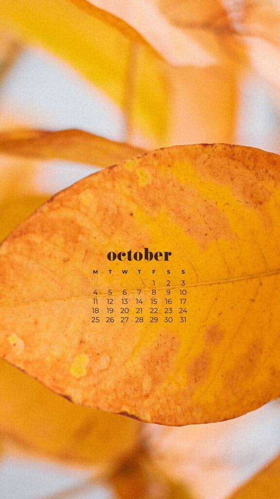 35 FREE OCTOBER 2021 CALENDAR WALLPAPERS TO DRESS YOUR TECH, Oh So Lovely Blog