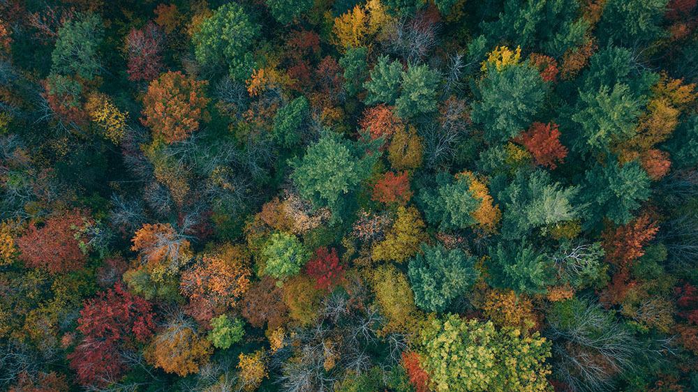 35 FREE OCTOBER 2021 CALENDAR WALLPAPERS TO DRESS YOUR TECH, Oh So Lovely Blog