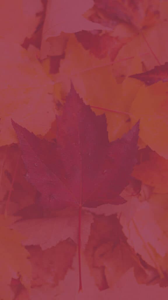 35 FREE OCTOBER 2021 CALENDAR WALLPAPERS TO DRESS YOUR TECH, Oh So Lovely Blog