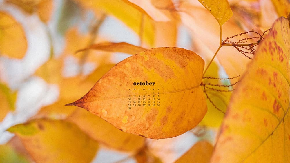 October 2021 - FREE wallpaper calendars in Sunday and Monday starts + no-calendar options. 35 designs for both desktop and smart phones!