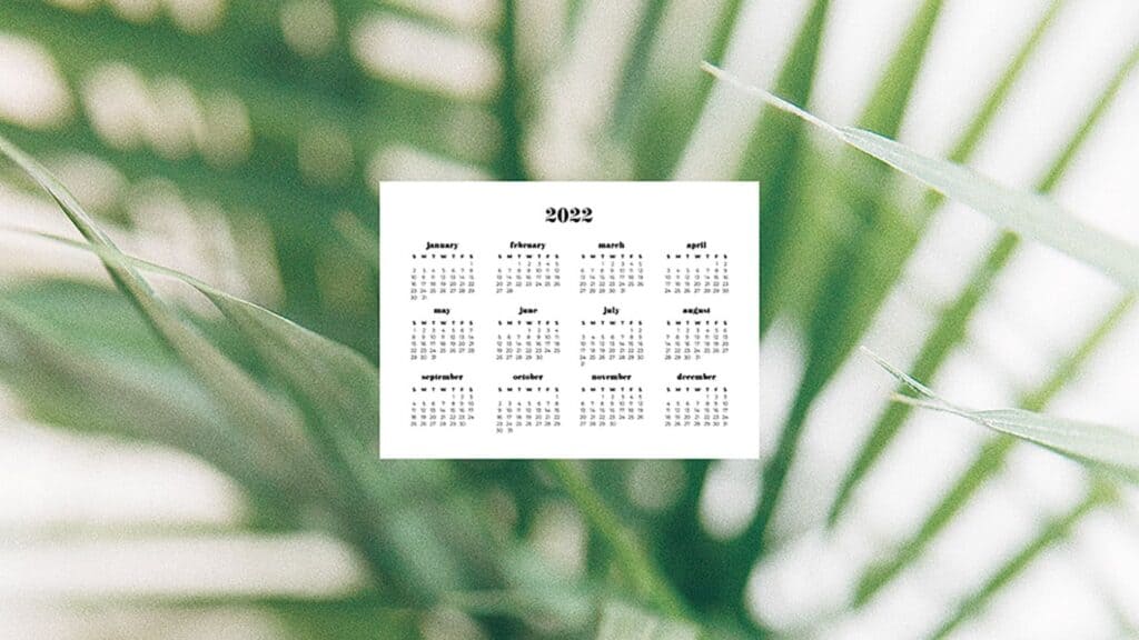 palm plant with 2022 full-year calendar for your desktop 