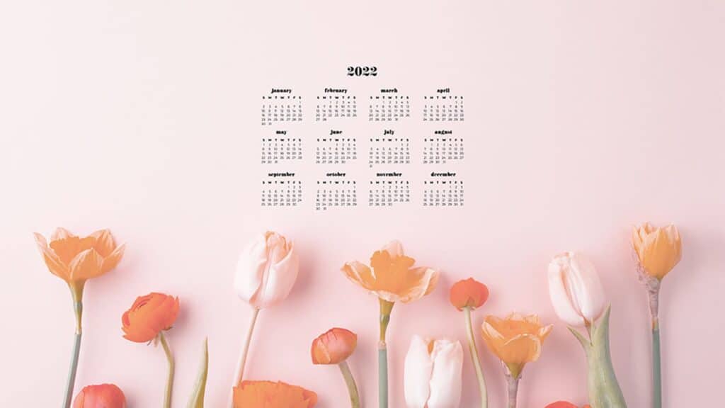 tulips on blush pink background with free 2022 wallpapers full-year calendar for your desktop 