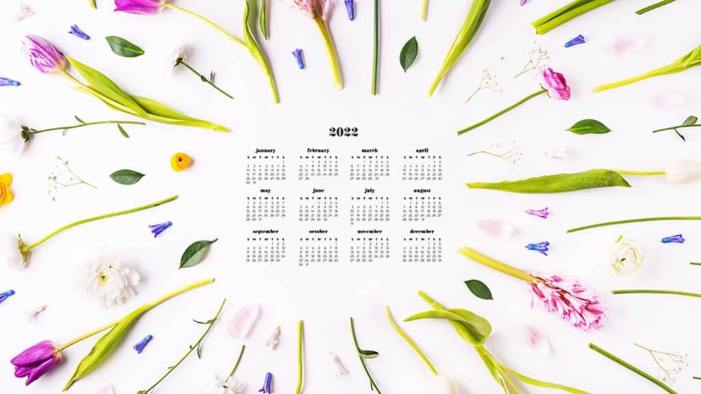 pretty fresh flowers flay lay in a pattern with with free 2022 wallpapers full-year calendar for your desktop 