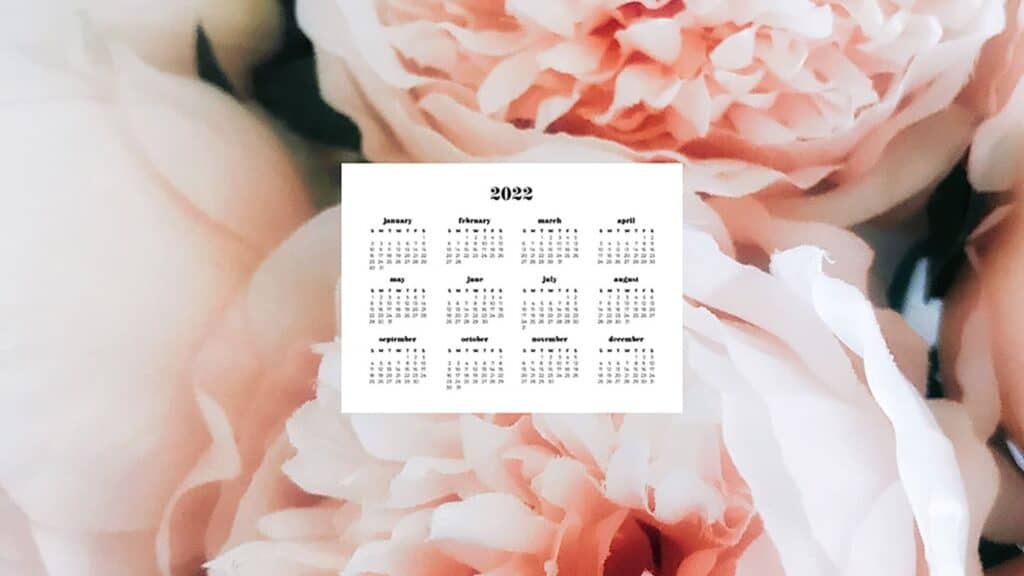 blush pink peonies with 2022 full-year calendar for your desktop 