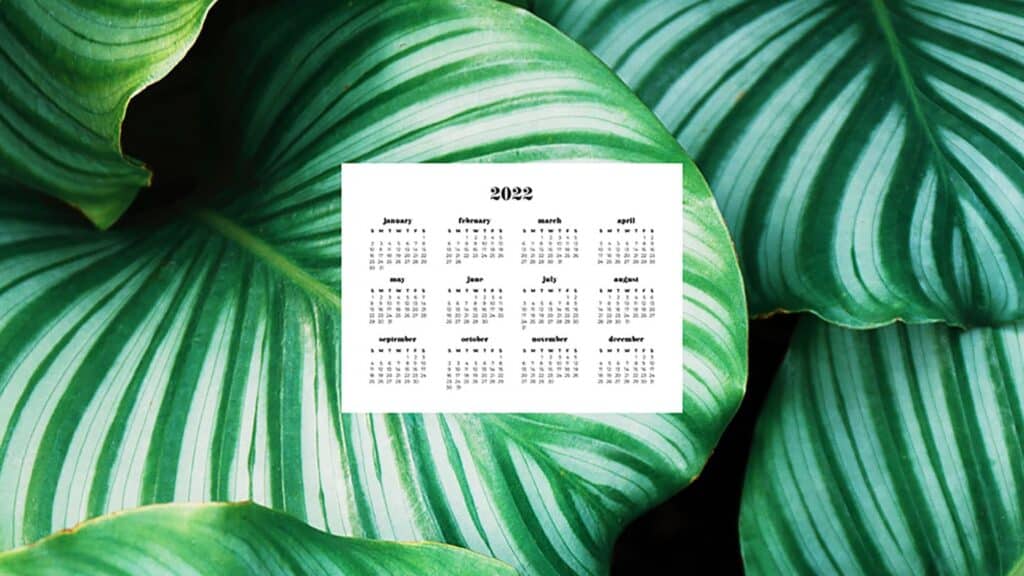 tropical plants with 2022 full-year calendar for your desktop