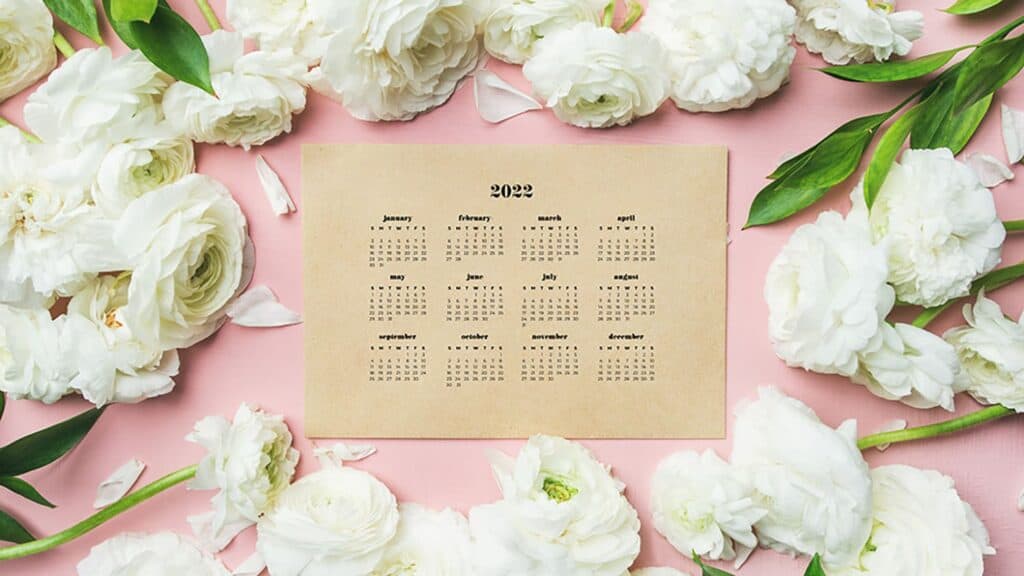 white flowers on pink background with free 2022 wallpapers full-year calendar for your desktop 