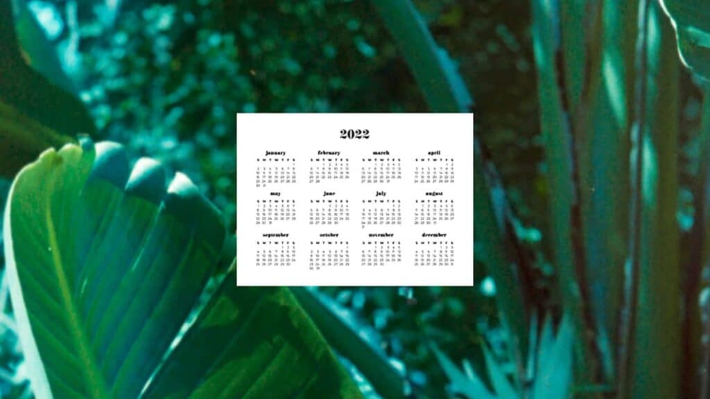 lush green plants with 2022 full-year calendar for your desktop 