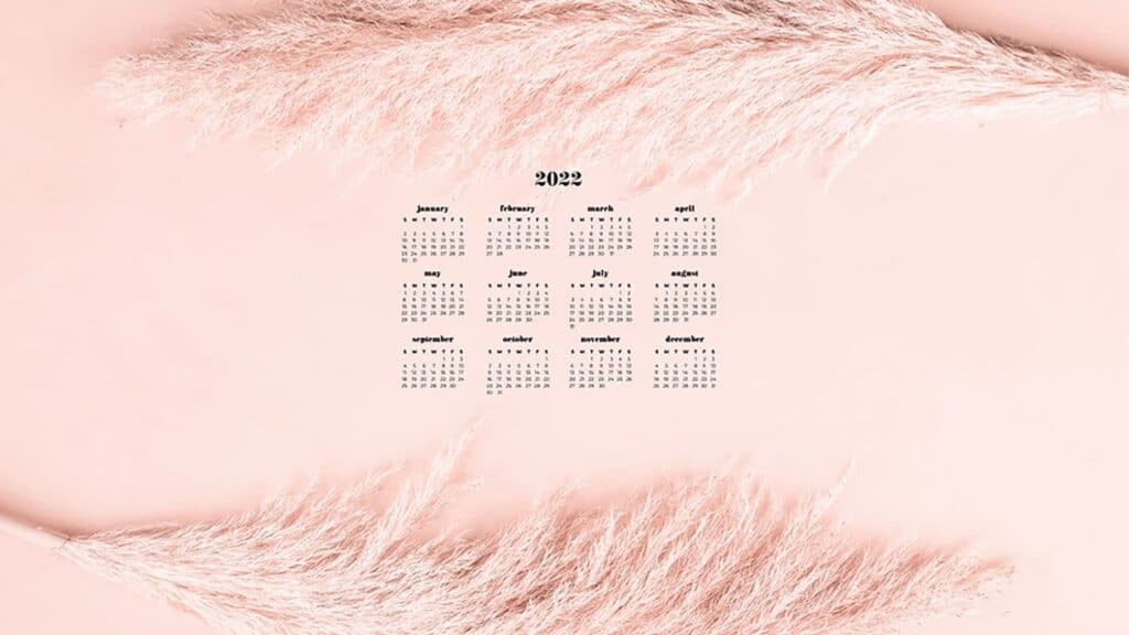 blush pink pampas grass on blush pink background with free 2022 wallpapers full-year calendar for your desktop 