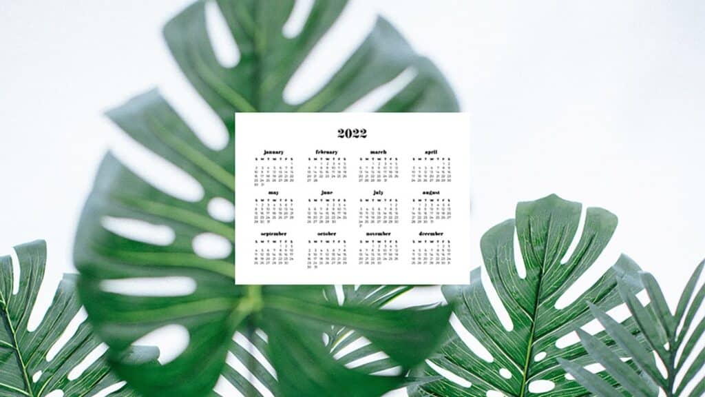 monstera leaves with 2022 full-year calendar for your desktop