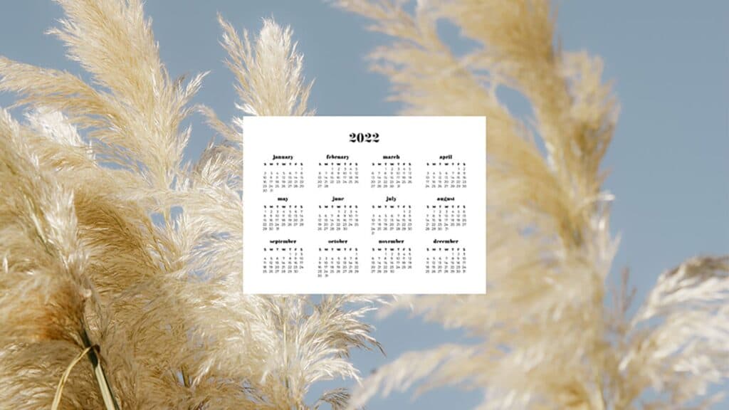 pampas grass against the sky with 2022 full-year calendar for your desktop