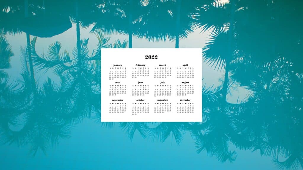 palm trees reflecting in a pool with free 2022 wallpapers full-year calendar for your desktop 