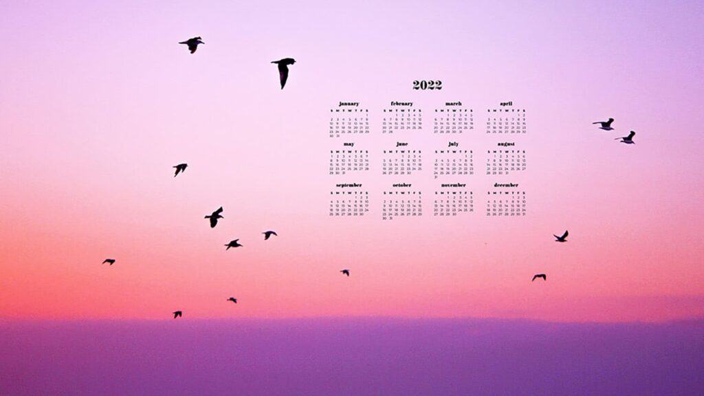 cottom cancy sunset with birds with free 2022 wallpapers full-year calendar for your desktop 