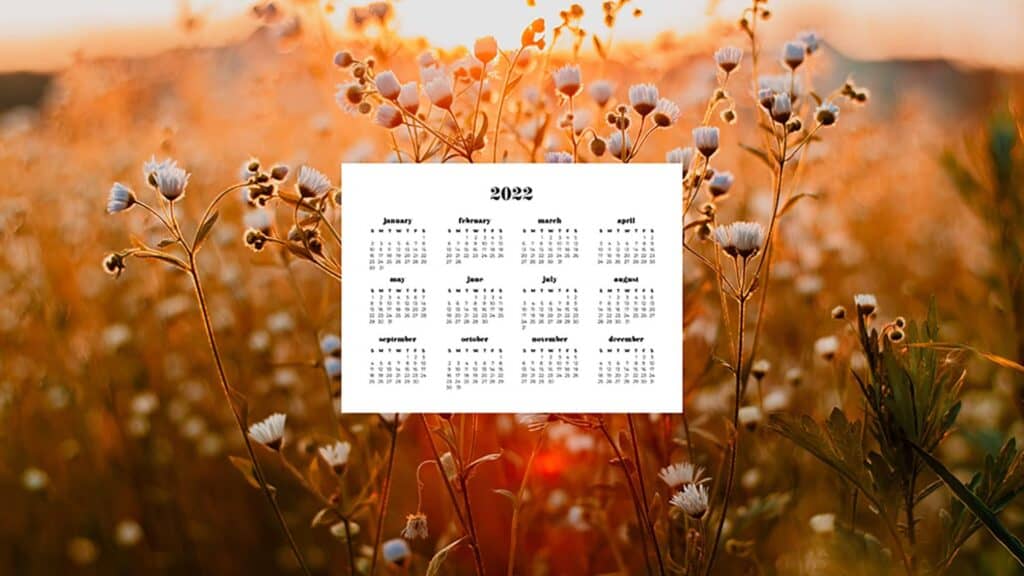 wild flower field at golden hour sunset with 2022 full-year calendar 