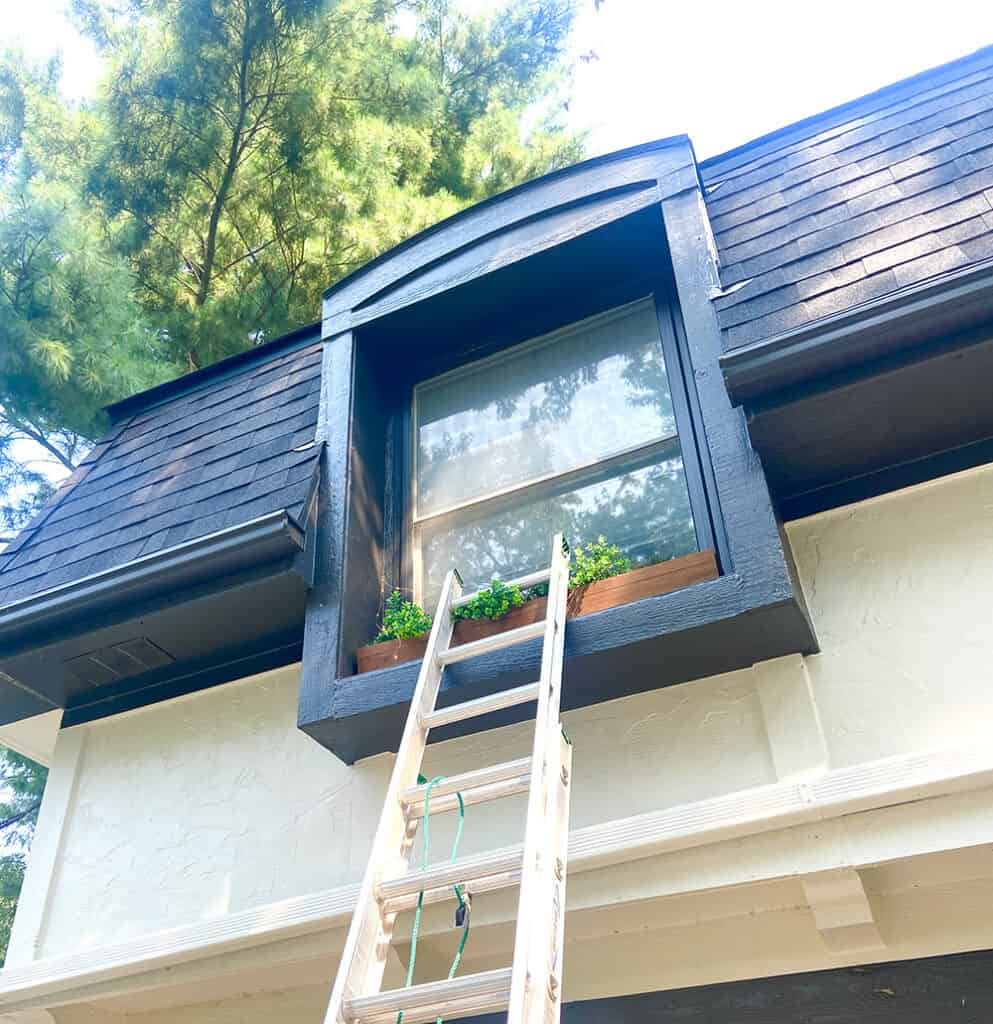 climb ladder to decorate window boxes