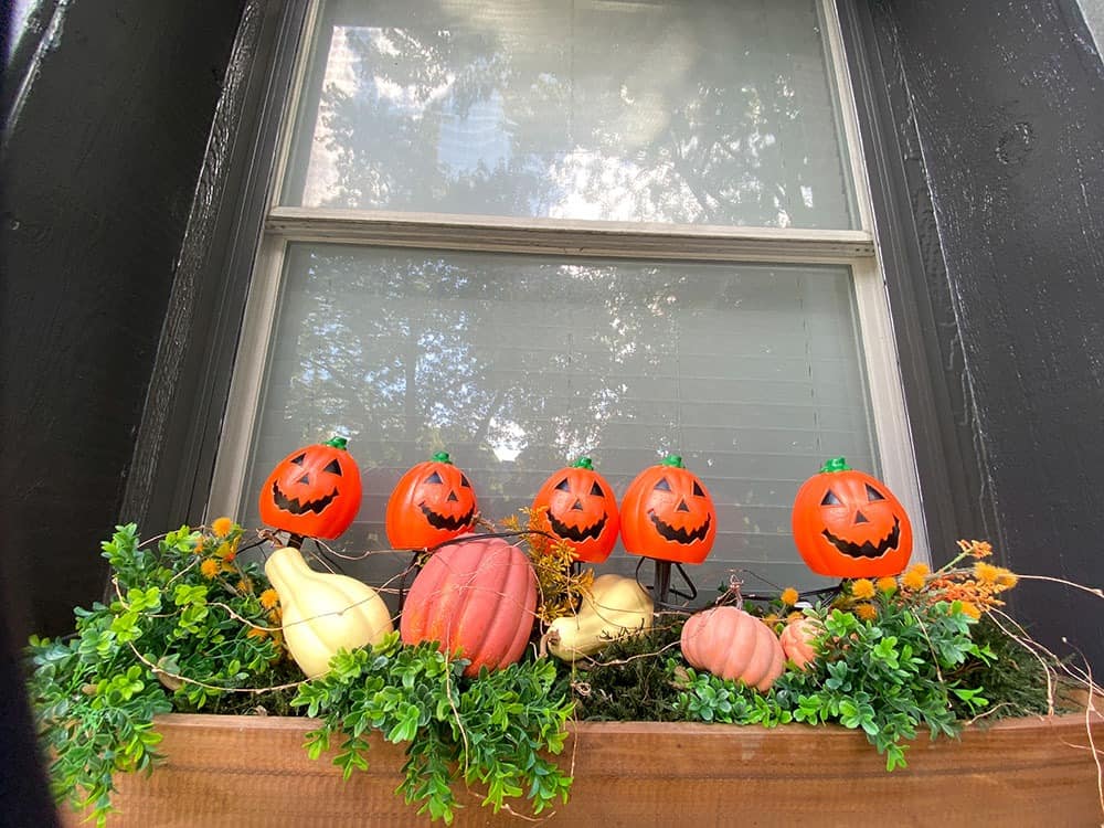 halloween decor ideas for a window box closer