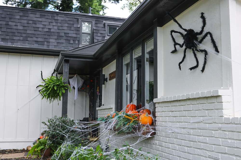 a window box full of light up pumpkins, skulls, and spiderwebs and large fuzzy spider