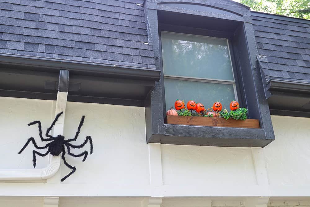 halloween decor ideas for a window box