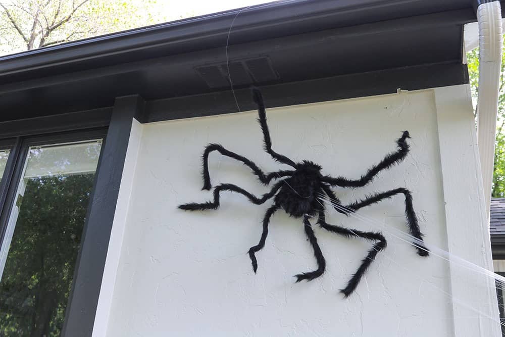 Large fuzzy black spider decor on house