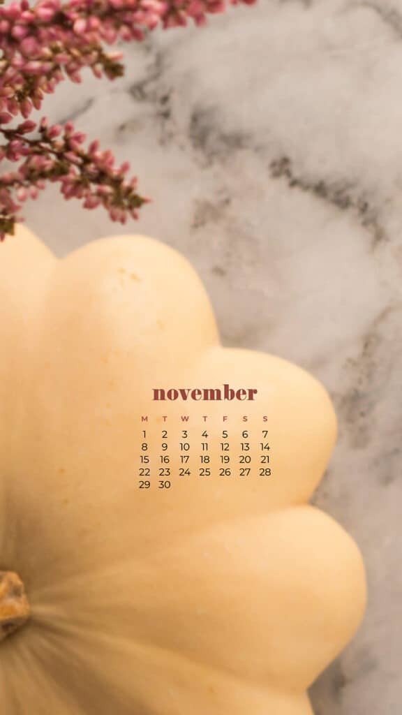 35 FREE NOVEMBER 2021 CALENDAR WALLPAPERS TO DRESS YOUR TECH, Oh So Lovely Blog