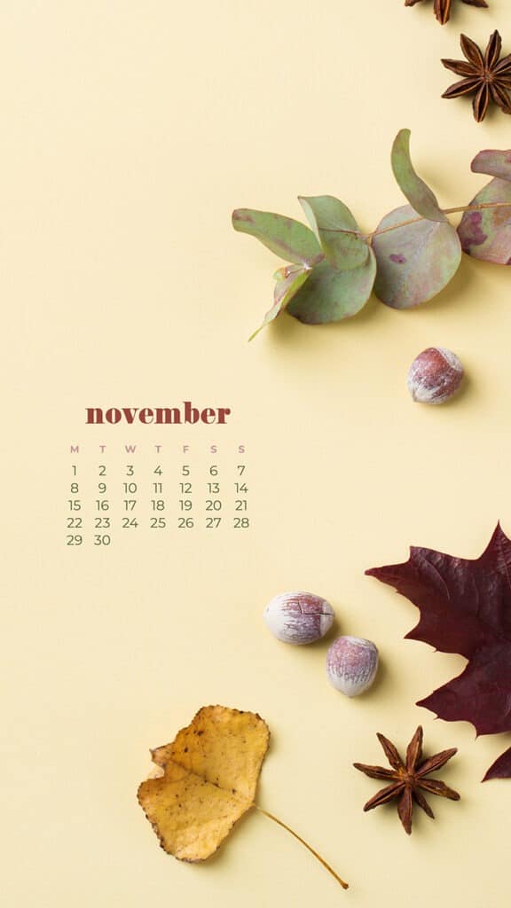 35 FREE NOVEMBER 2021 CALENDAR WALLPAPERS TO DRESS YOUR TECH, Oh So Lovely Blog