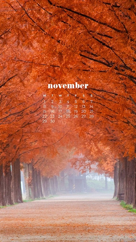 35 FREE NOVEMBER 2021 CALENDAR WALLPAPERS TO DRESS YOUR TECH, Oh So Lovely Blog